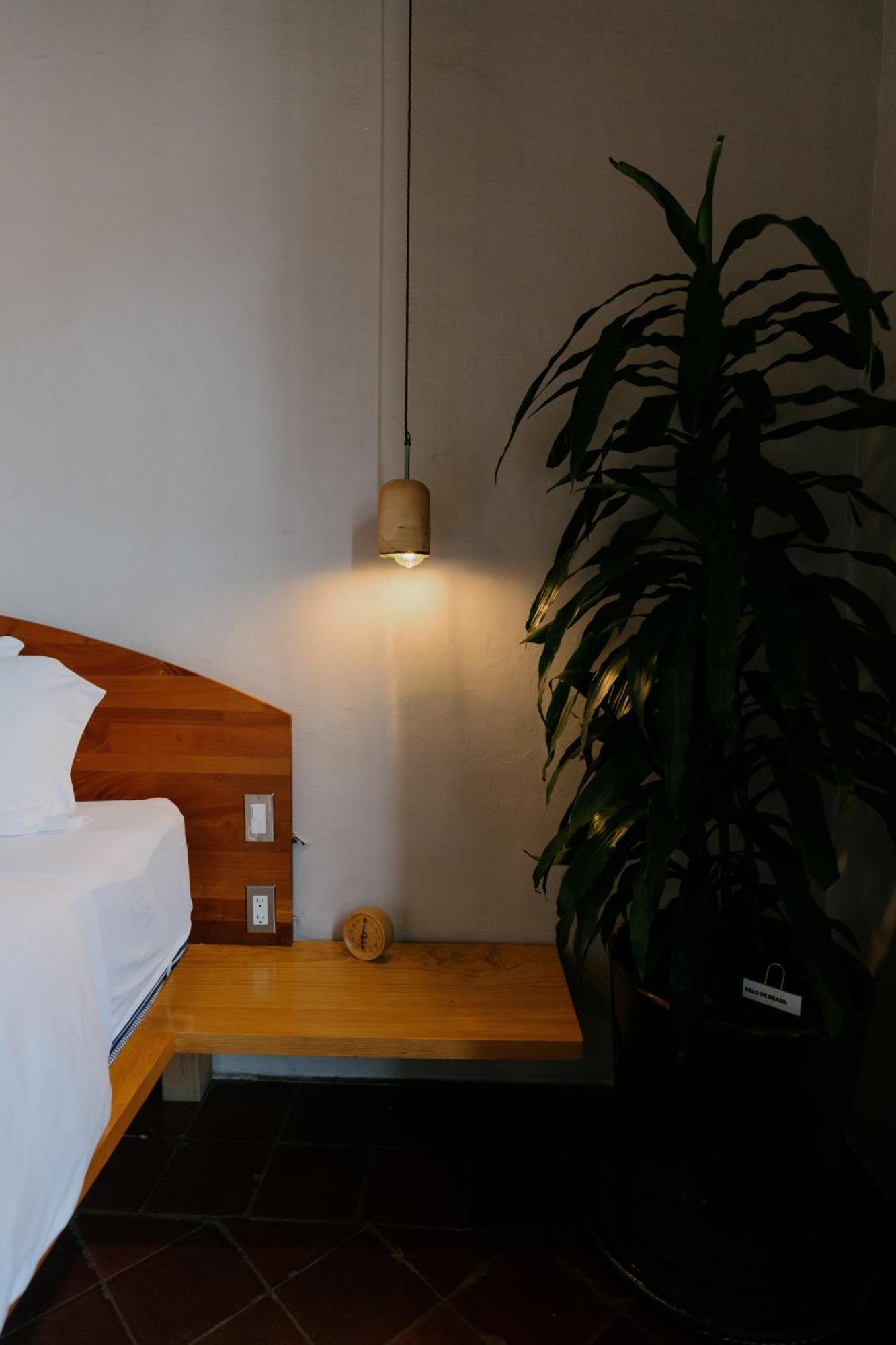 Grana B&B Oaxaca Exterior foto